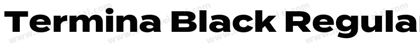 Termina Black Regular字体转换